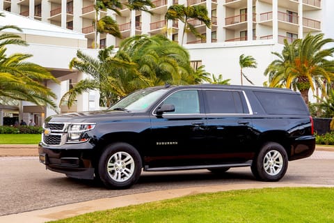 Sarasota: Private Transfer to Southwest Florida Airport