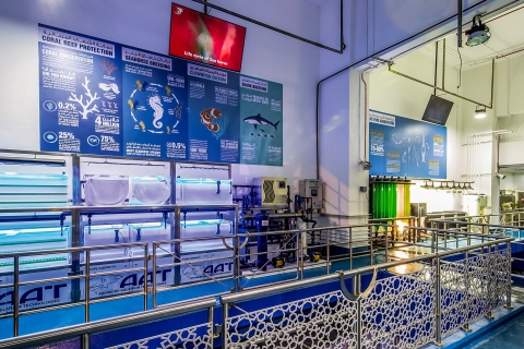 Dubaï : Billet à la journée pour l'aquarium et le zoo sous-marin