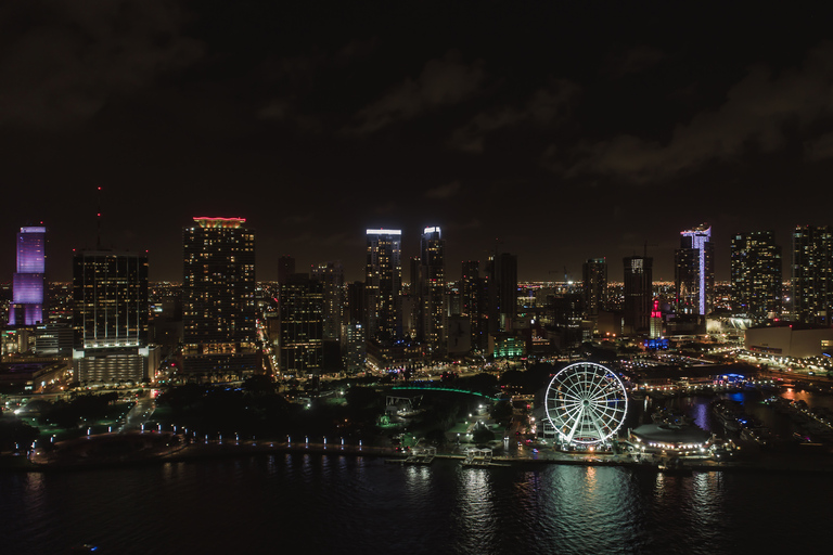 Miami: Skyviews Miami Observation Wheel Flexible Date Ticket