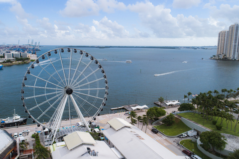 Miami: Skyviews Miami Observation Wheel Flexible Date Ticket