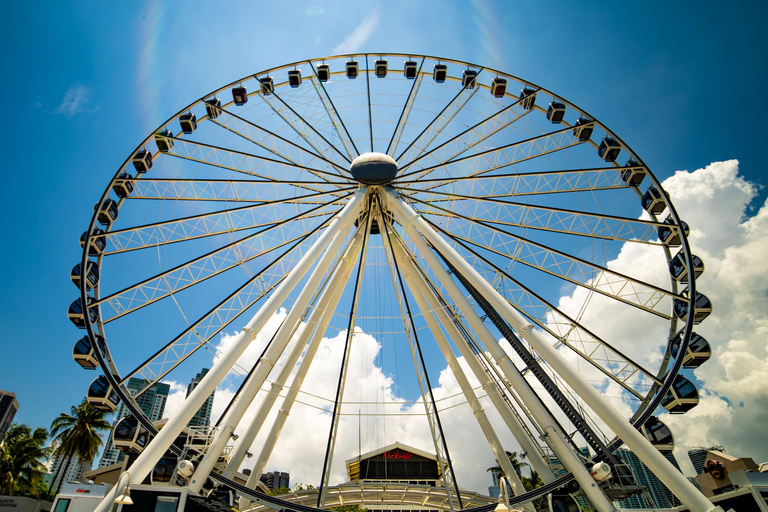 Miami: Skyviews Miami Observation Wheel Flexible Date Ticket