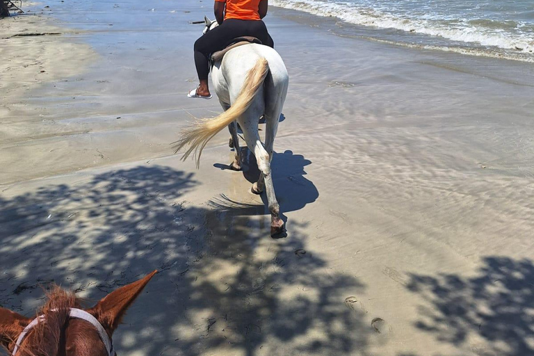 Montego Bay: Blue Hole & Horseback Riding Tour