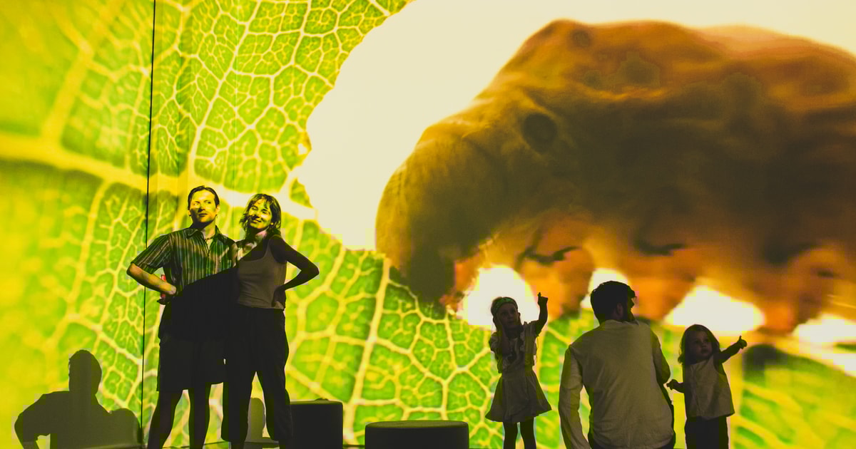 Warsaw Art Box Experience Exhibition Save the GetYourGuide