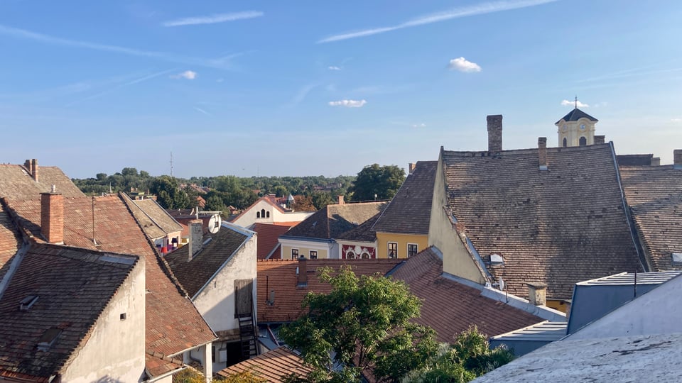 Szentendre : Arts and Cafés Tour (visite privée d&#039;une demi-journée)