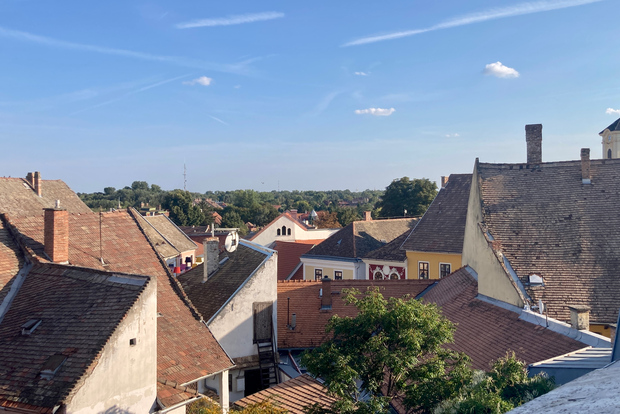 Szentendre: Arts and Cafés Tour (Half-Day Private Tour)