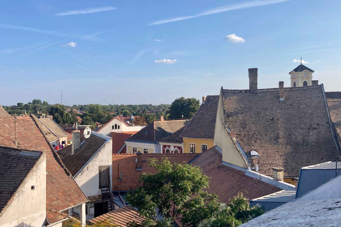 Szentendre: Arts and Cafs Tour (Half-Day Private Tour) - Szentendre: Arts and Cafés Tour (Half-Day Private Tour)