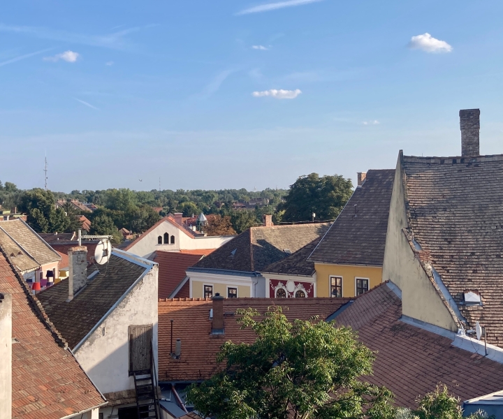 Szentendre: excursão de artes e cafés (excursão privada de meio dia)