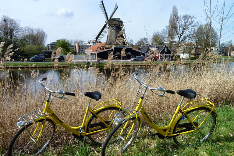 Ámsterdam: tour guiado en bicicleta de 4 horas por el campo