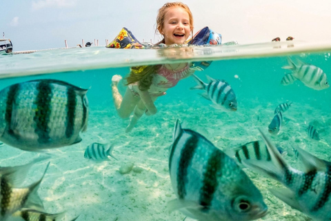 Pattaya: Koh Talu & 7 Islands Speedboat Tour with Lunch