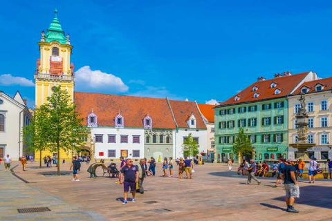 Da Vienna: tour privato di un giorno al castello di Devin e Bratislava