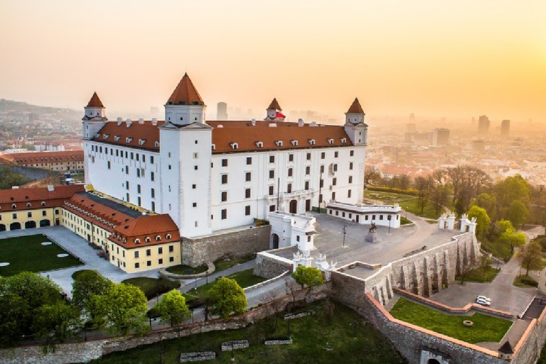 Desde Viena: tour privado de un día del castillo de Devin y Bratislava