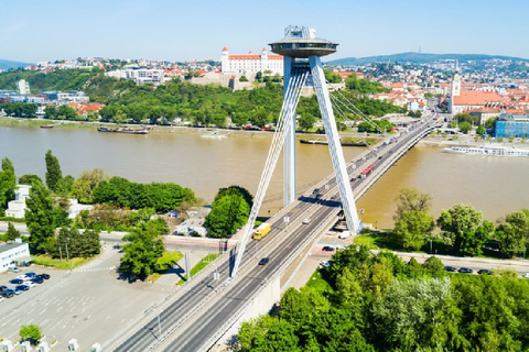 Desde Viena: tour privado de un día del castillo de Devin y Bratislava