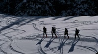 Innsbruck, Priv. Geführte Schneebergwanderung/Schneeschuhwanderung - Hizvo