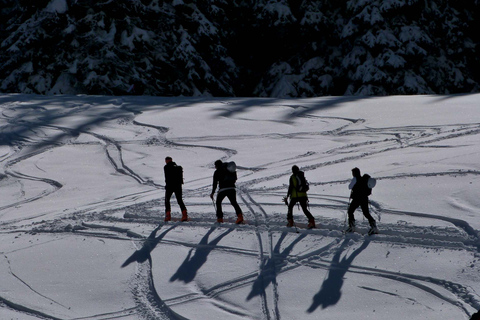 Innsbruck: Priv. Guidad snöig bergsvandring /Snowshoe´sInnsbruck: Priv. Guidad vandring i snöiga bergen / snöskor