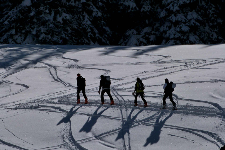 Innsbruck: Priv. Caminhada guiada na montanha nevada / raquetes de neve