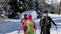 Innsbruck, Priv. Geführte Schneebergwanderung/Schneeschuhwanderung - Hizvo