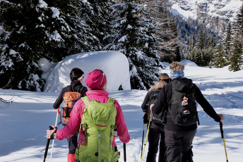 Innsbruck: ul. Wycieczka z przewodnikiem po śniegu / rakietach śnieżnychInnsbruck: Priv. Wędrówka z przewodnikiem po górach śnieżnych / rakiety śnieżne