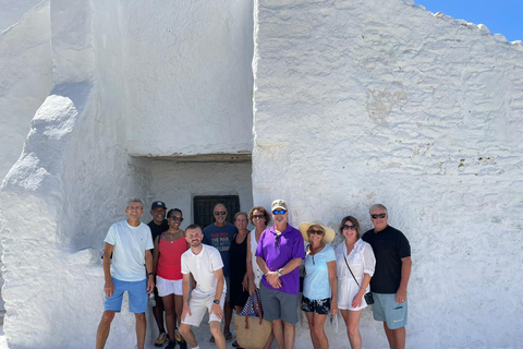 Mykonos: recorrido turístico con recogida en la terminalPunto de encuentro del puerto nuevo de Mykonos