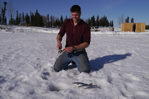 Fairbanks: halve dag ijsvissenFairbanks: Halve dag ijsvissen