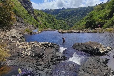 From Quatre Cocos: Tamarind Falls Hiking Day Trip