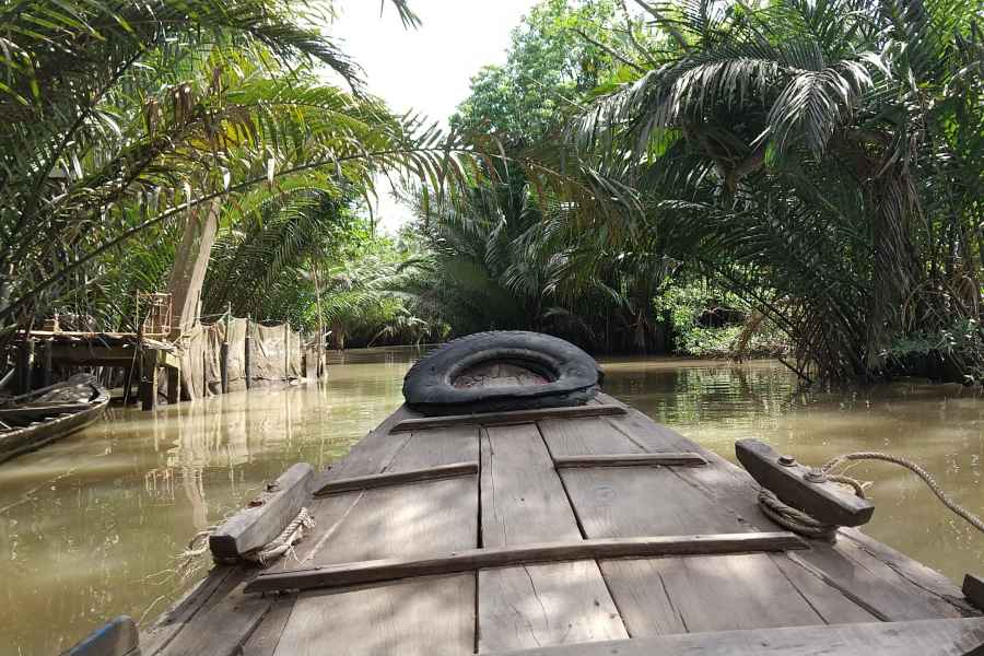 Von Ho Chi Minh Stadt aus: Mekong Delta Luxus 1-Tages-Gruppentour