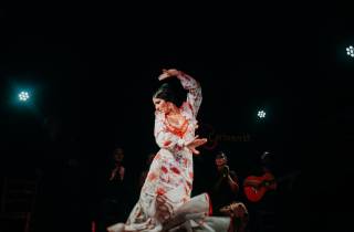 Madrid: Geführte Tapas Foodtour & authentische Flamenco-Show