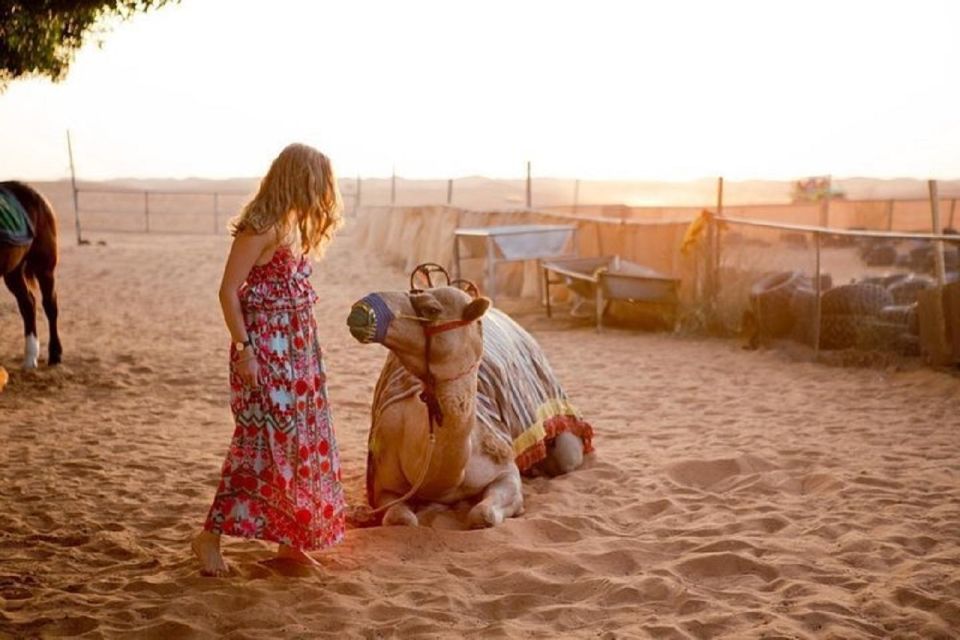 Al Ramal Red Sand Dune • Arabian Nights • Sandboarders paradise!