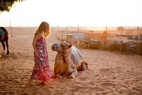 Dubai: avondsafari door de rode duinen in de woestijn met dinerbuffet