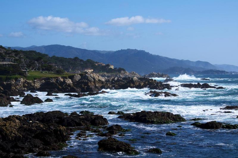 San Francisco: Monterey and Carmel Day Trip w/ 17-Mile Drive From San Francisco: Monterey and Carmel Day Tour