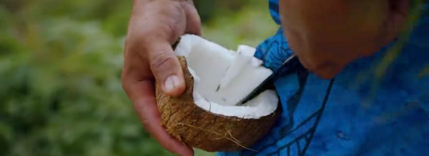 Demi-journée d'excursion privée à Moorea Safari Albert Prise en charge à l'hôtel