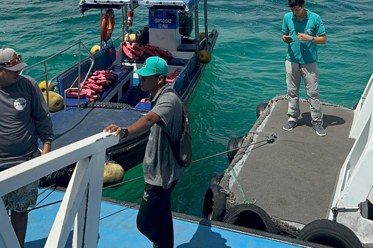 Traslados do aeroporto para o GPS de Galápagos e passeios de destaqueTraslados e passeios do Galapagos Getaway