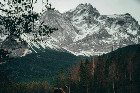 Munich: 4-Day Private Tour, Bavaria & Austria, Alps +Castles