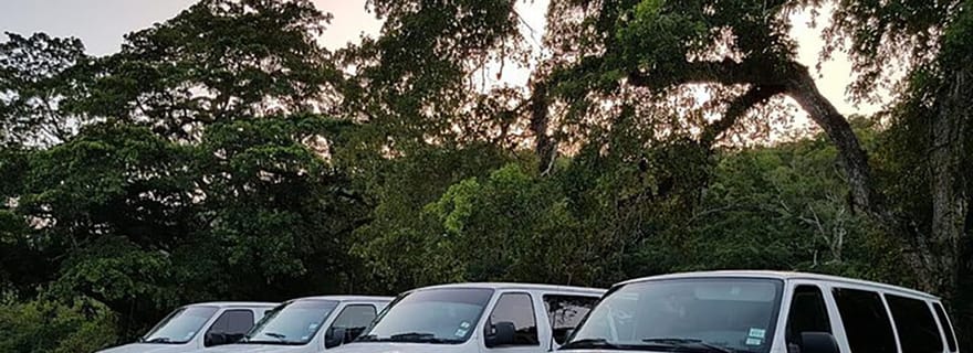 Depuis le Belize : Navette partagée aller simple pour San Ignacio