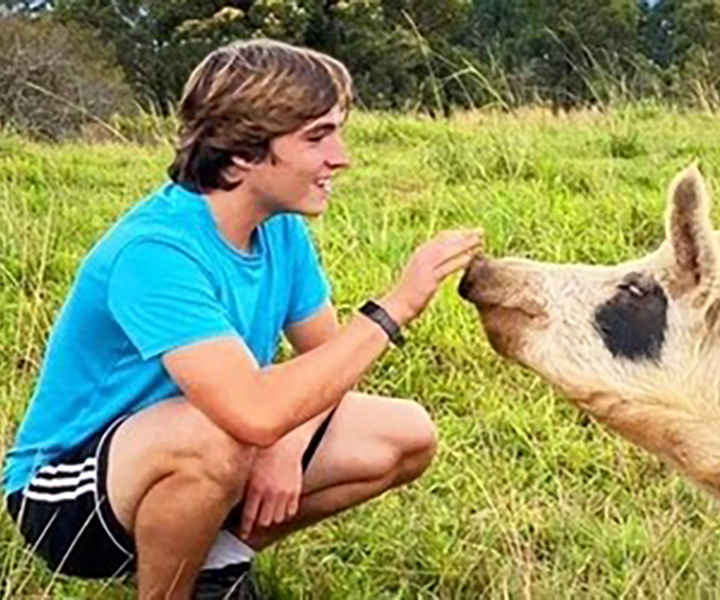 Laupahoehoe: Farm Animal Sanctuary Private Tour