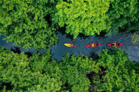 Mauritius: Guided Sunset Kayak Tour on Tamarin River