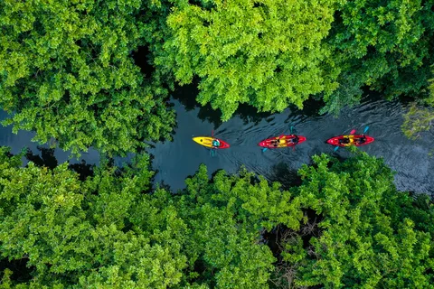 Mauritius: Guided Kayak Tour on Tamarin River