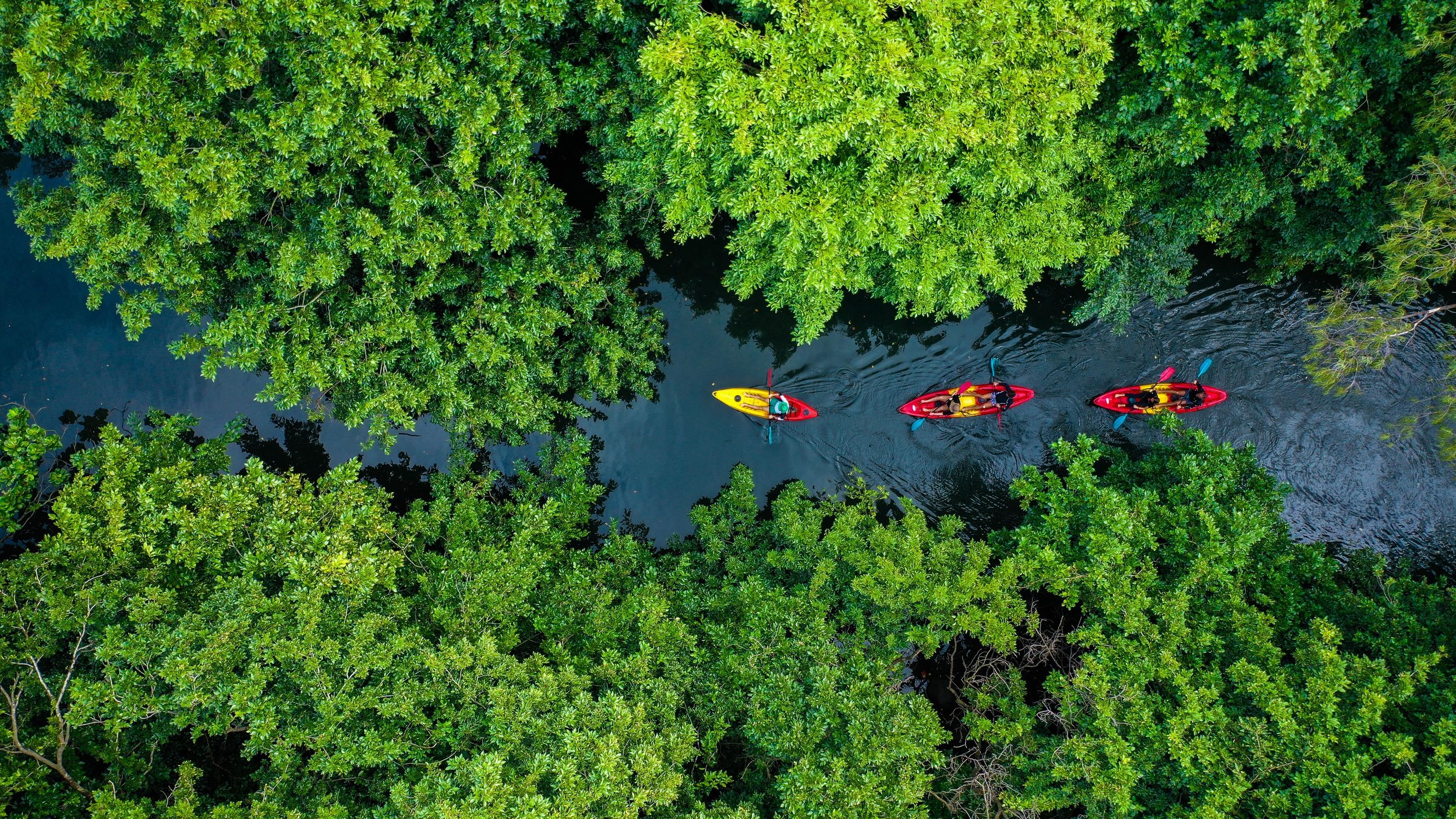 Mauritius: Geführte Kajaktour auf dem Tamarin-Fluss