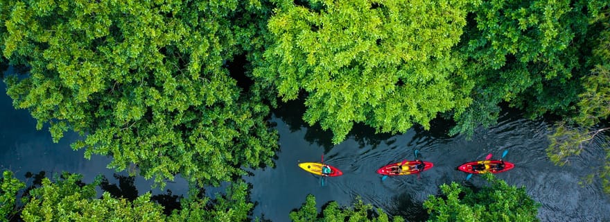 Maurice : Visite guidée en kayak sur la rivière Tamarin