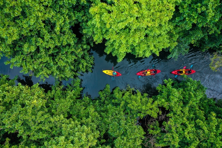 Mauricio: tour guiado en kayak por el río TamarinMauricio: tour guiado en kayak al atardecer en el río Tamarin
