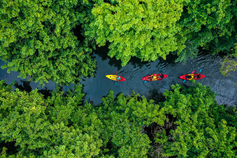 Mauritius: begeleide kajaktocht op de rivier de TamarinMauritius: begeleide kajaktocht bij zonsondergang in de rivier de Tamarin