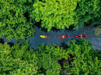 Mauricio: tour guiado en kayak por el río Tamarin
