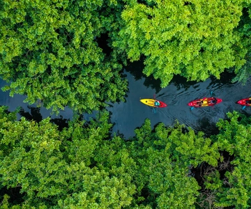Mauritius: Tour guidato in kayak sul fiume Tamarin