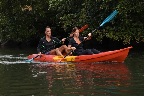 Mauritius: Geführte Kajaktour auf dem Tamarin-FlussMauritius: Geführte Kajaktour bei Sonnenuntergang auf dem Tamarin-Fluss