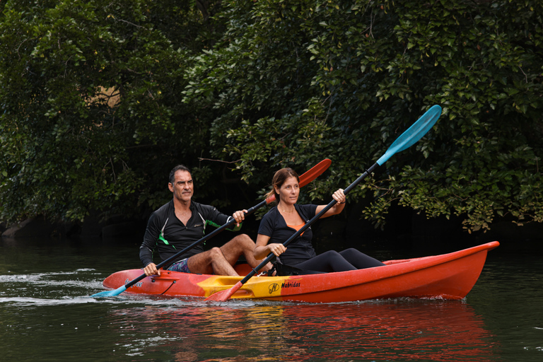 Maurice : visite guidée en kayak sur la rivière TamarinMaurice : excursion guidée en kayak au coucher du soleil sur la rivière Tamarin