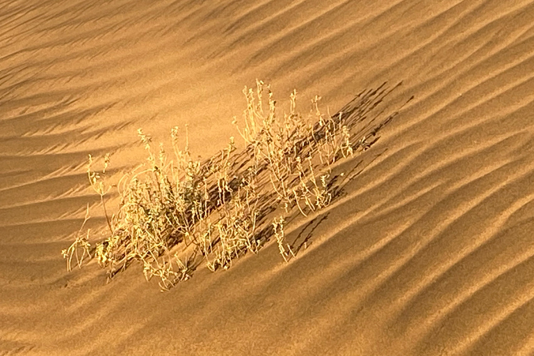 Walvis Bay : Visite photographique du port de Sandwich au coucher du soleil