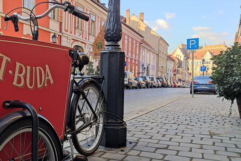 Budapest : visite guidée à pied du quartier du château de Buda