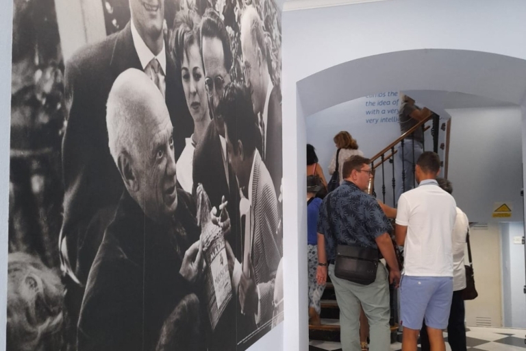 Malaga: bilet wstępu do muzeum domu rodzinnego Picassa