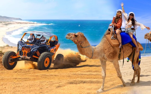 Visit Cabo San Lucas Camel Ride & Off-Road UTV Combo Adventure in Todos Santos