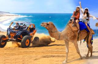Cabo San Lucas: Kamelritt & Off-Road UTV Kombi-Abenteuer