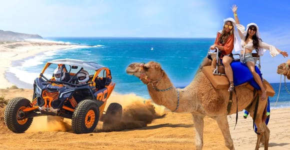 Cabo San Lucas: Camel Ride & Off-Road UTV Combo Adventure